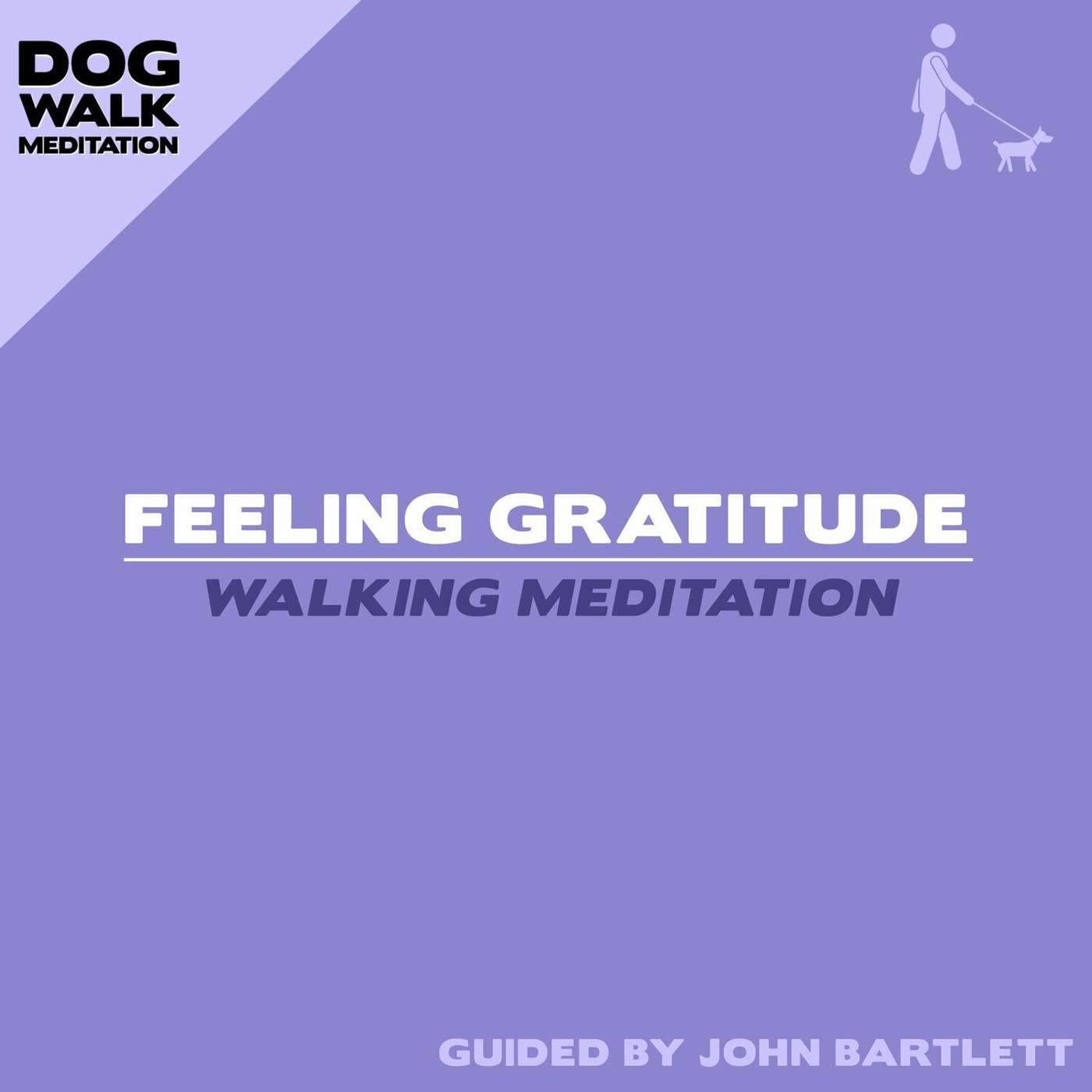 Feeling Gratitude (Walking Meditation) episode artwork