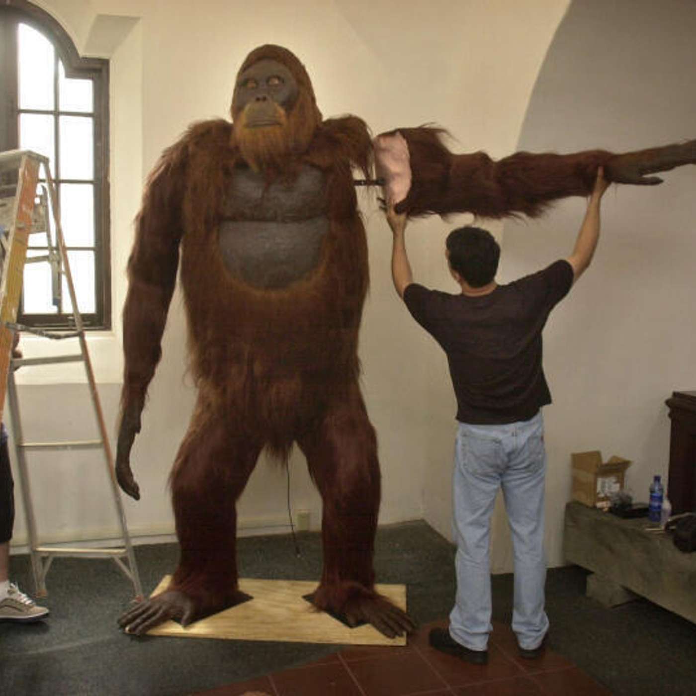 Record-Breaking Ocean Heat in 2023 Exacerbates Global Warming, Rising Shark Mortality Pushes Species to Brink of Extinction, Giant Prehistoric Ape Extinct Due to Climate Change, and more...