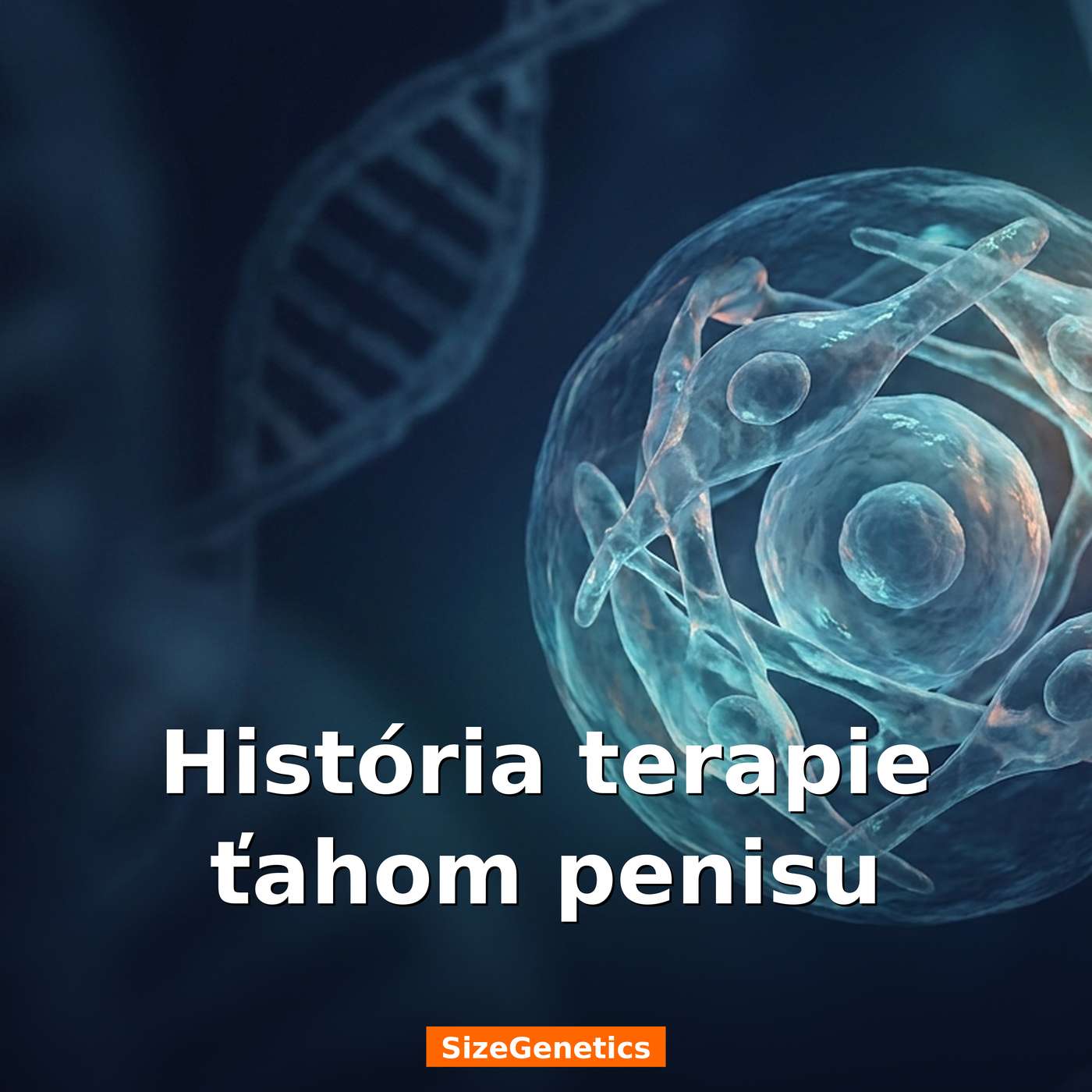 História terapie ťahom penisu | SizeGenetics episode artwork