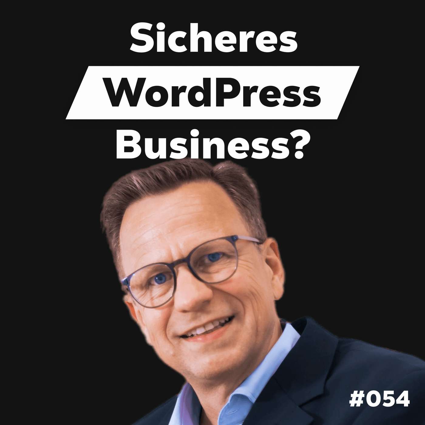 Bist Du eine Sicherheitslücke bei WP Projekten? | m. Herwart Wermescher episode artwork