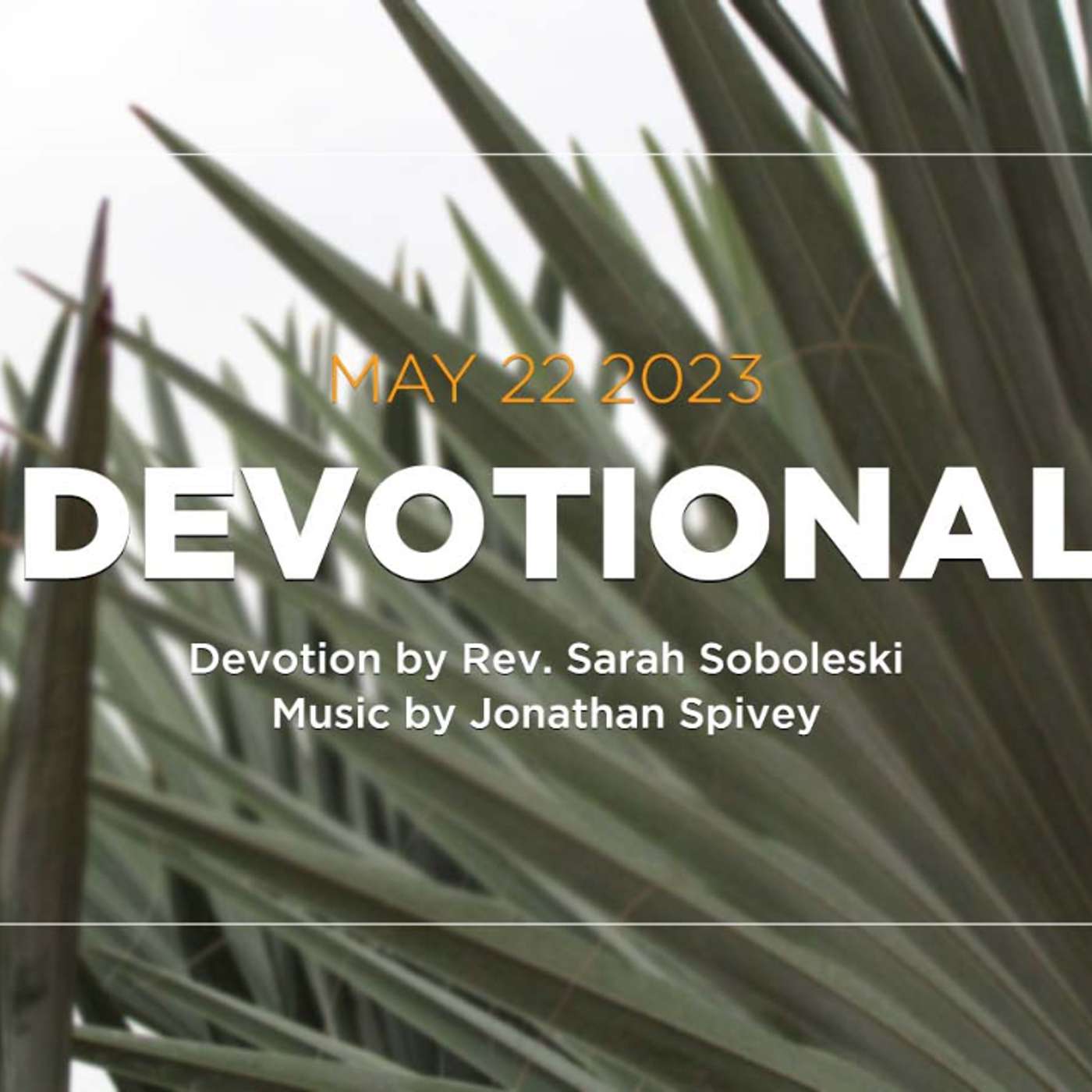Devotion for May 22, 2023 with Pastor Sarah Soboleski episode artwork