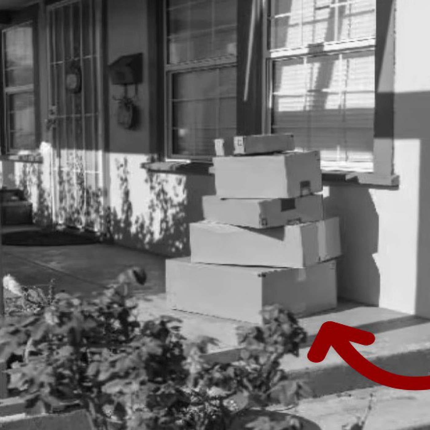 Brushing Scams on Amazon: What They Are and How to Handle Them