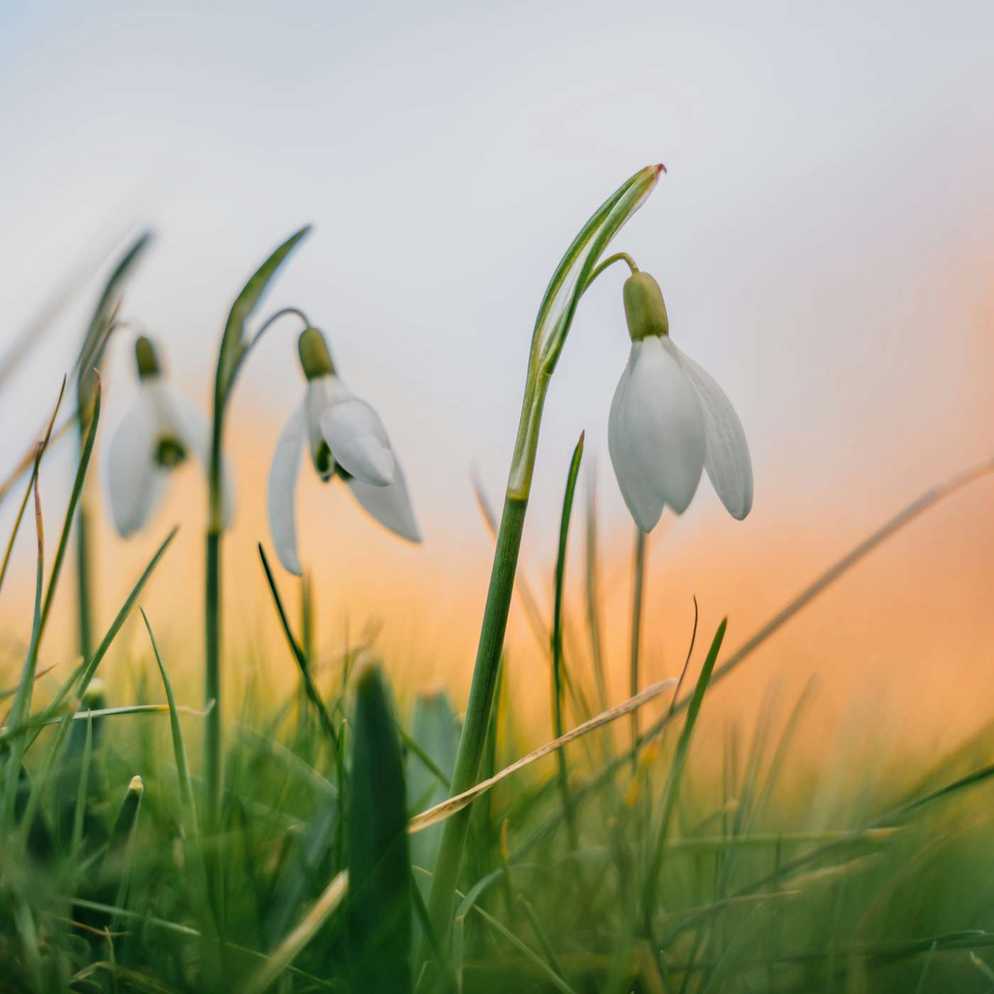 Accidental Gods Spring Equinox Meditation 2024