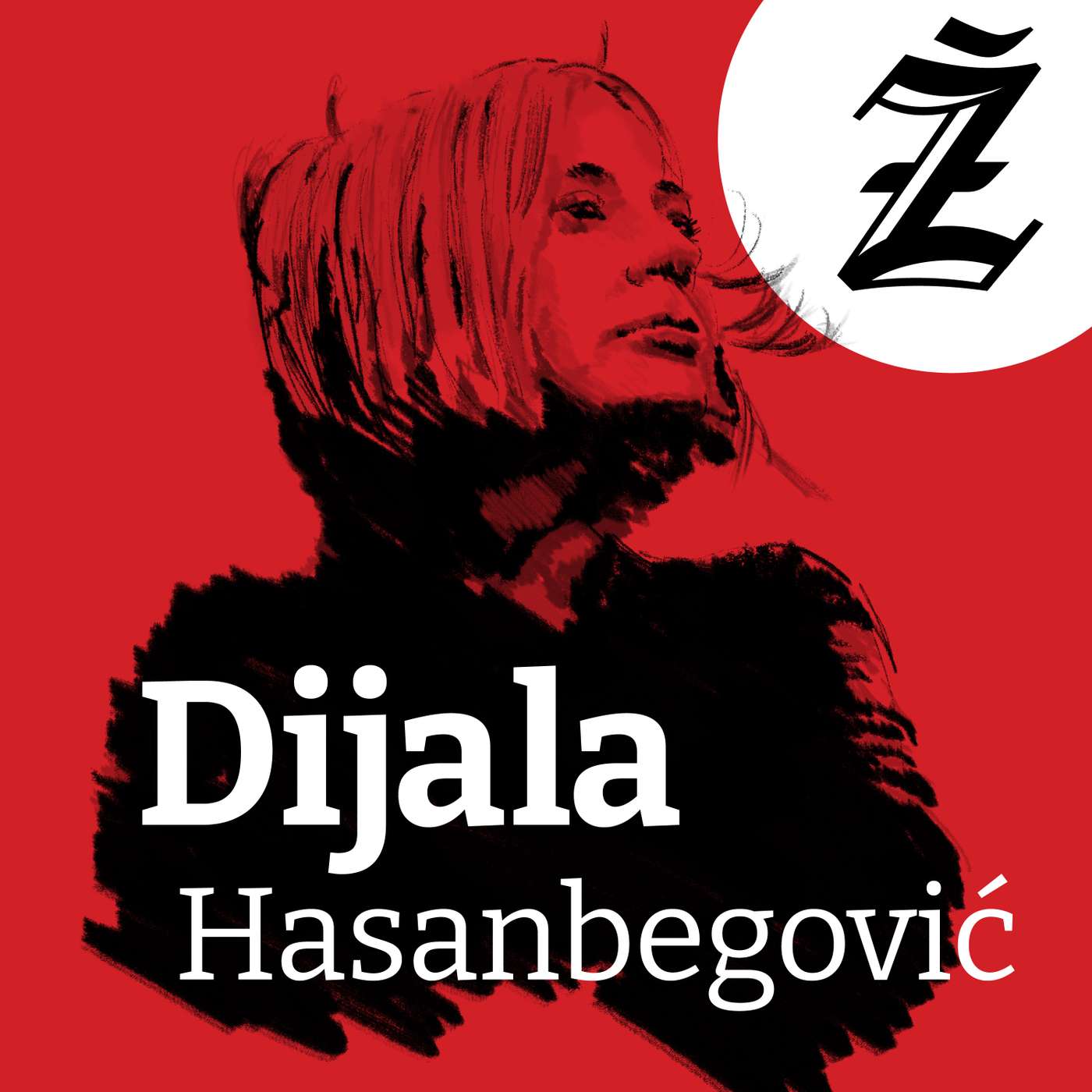 Dijala Hasanbegović: Nema stvari koja je naša, Audio Žurnal, epizoda 273 episode artwork
