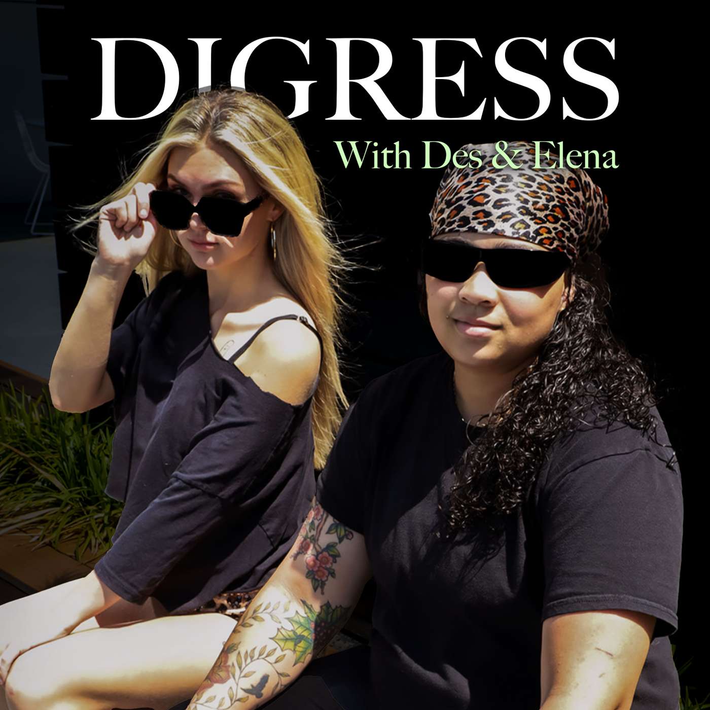Digress with D and E podcast artwork