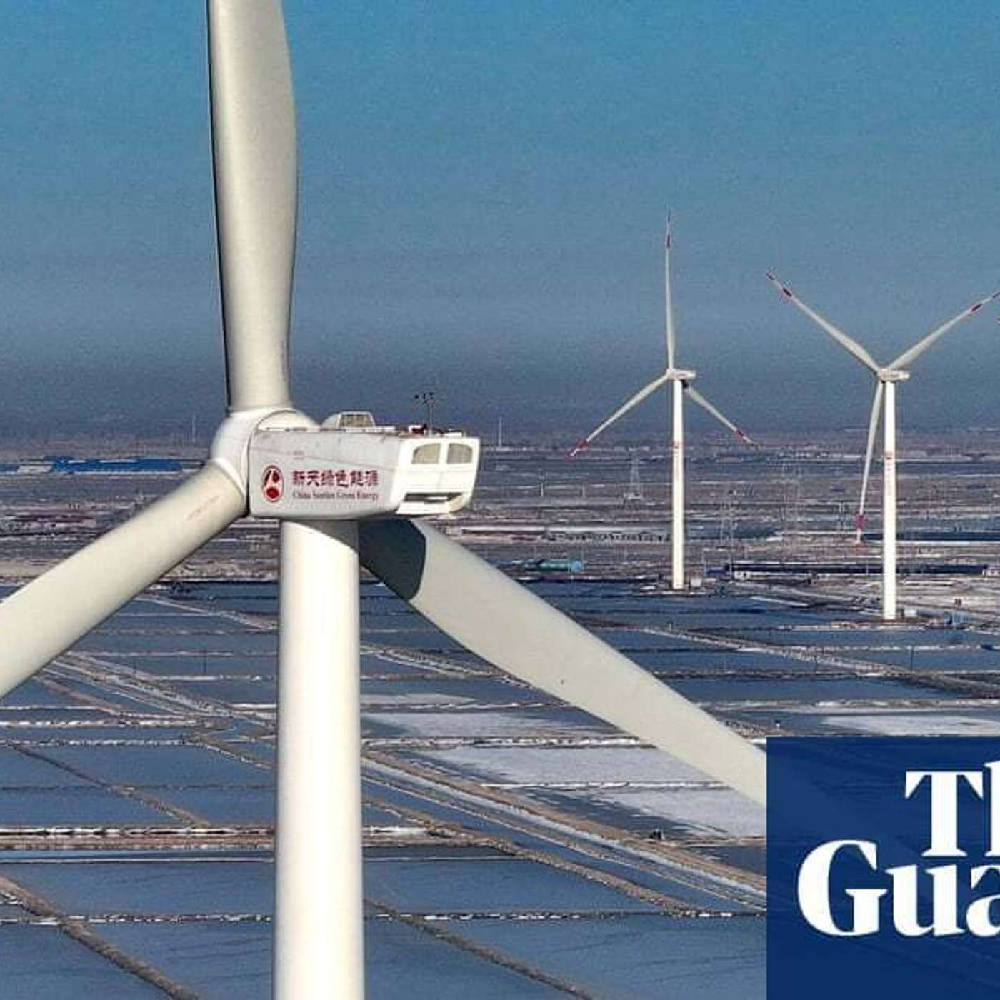 80 Million Sharks Killed Annually, Snowpack Decline Threatens Water Supply, New Mexico Unearths Giant Tyrannosaur, China Drives Renewable Energy Growth, and more...