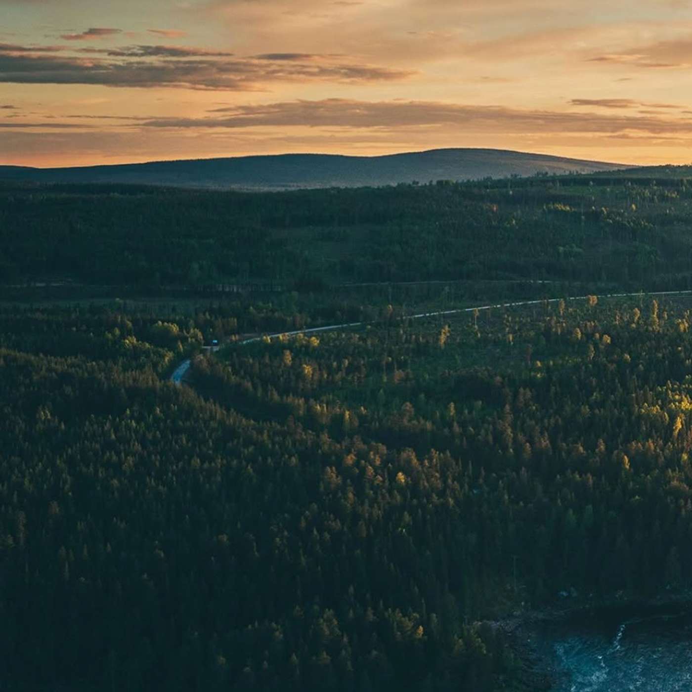 The Decline of the Baltic salmon