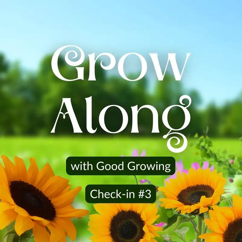 Good Growing Grow Along final check-in for 2024 | #GoodGrowing