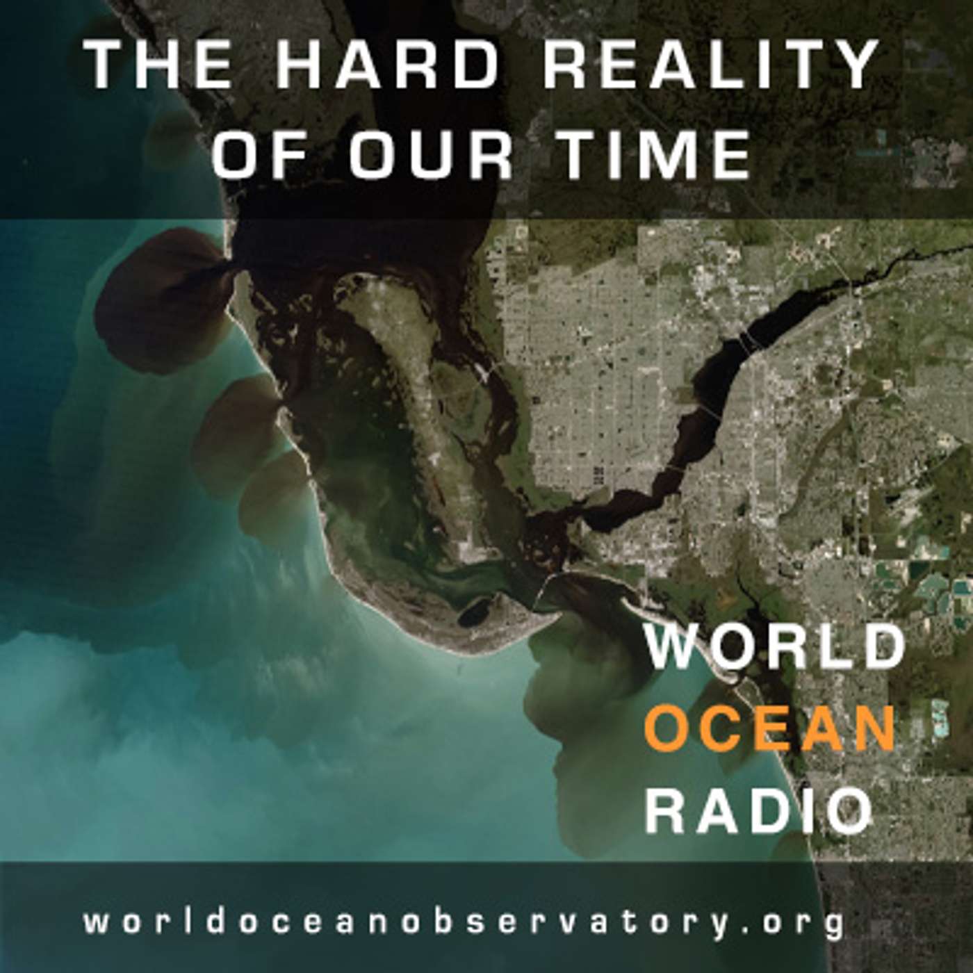 The Hard Reality of Our Time