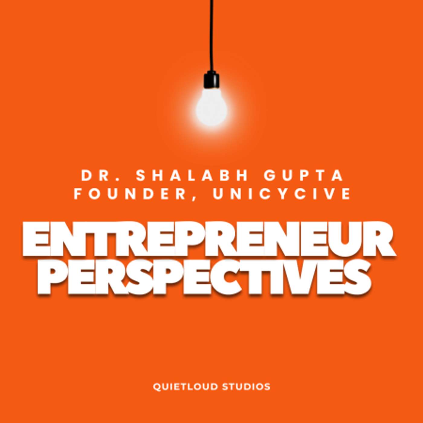 Entrepreneur Perspectives