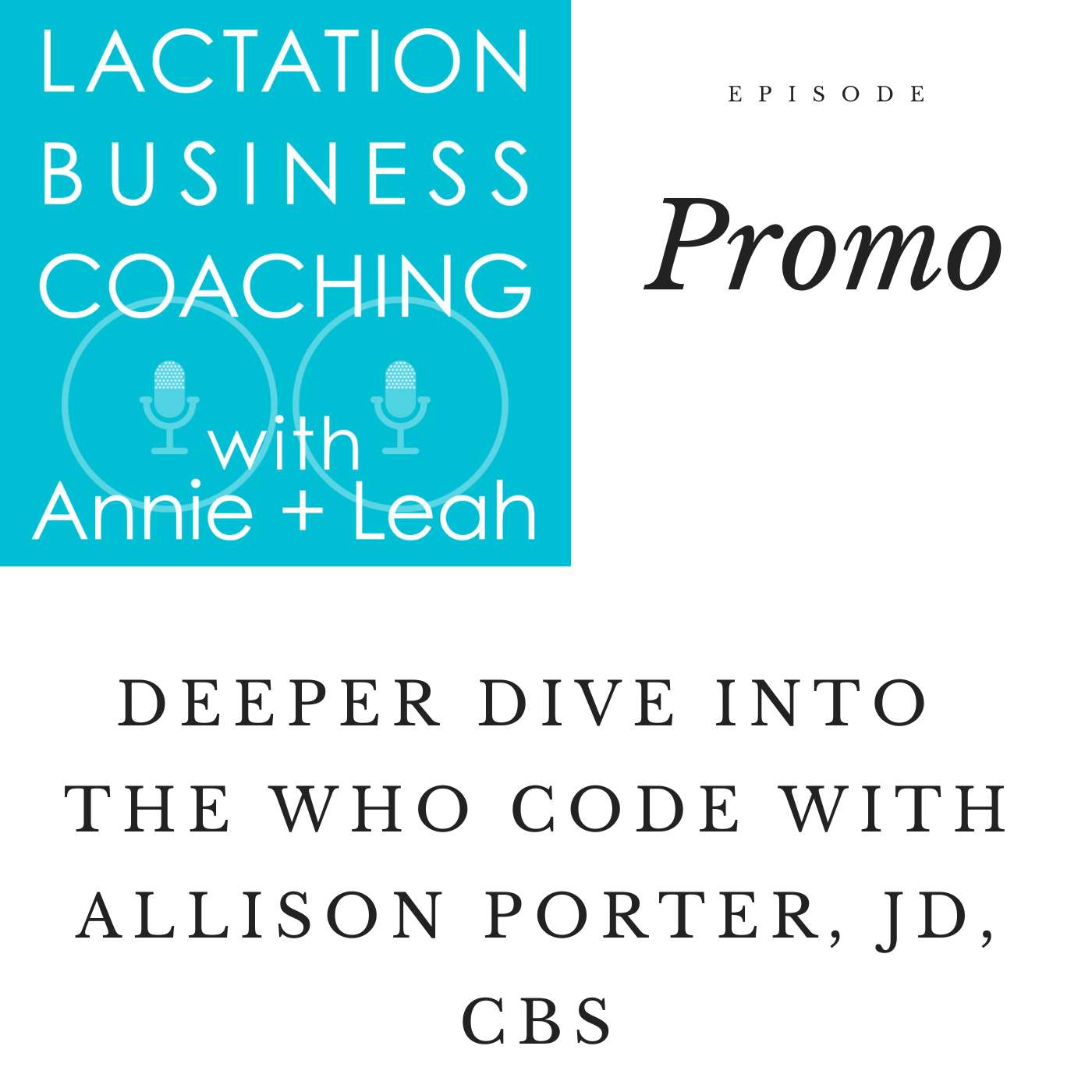 Lactation Business Coaching with Annie and Leah