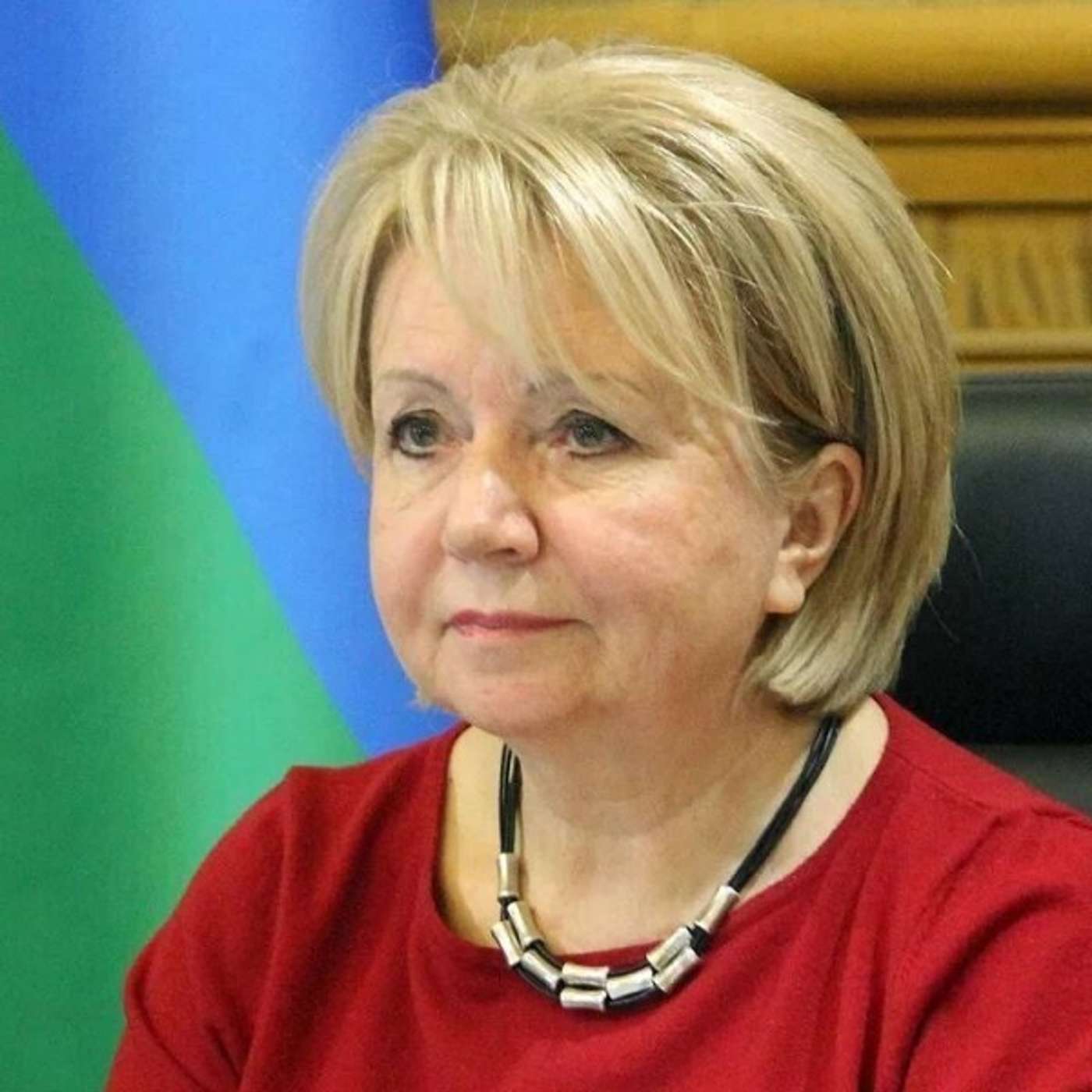 В Карелии депутата будут судить за дискредитацию армии после доноса ее коллеги