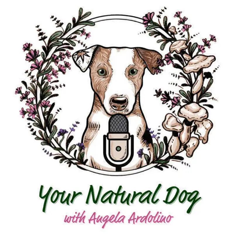 34. Slow Feeders for Dogs with Carol Smeja