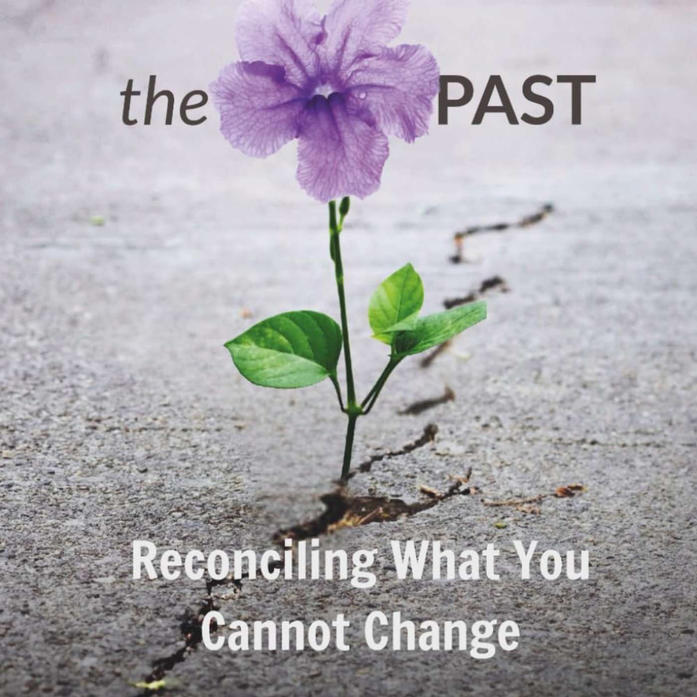 Audiobook: Getting Past the Past Chapter Three: Take Stock of the Damage episode artwork