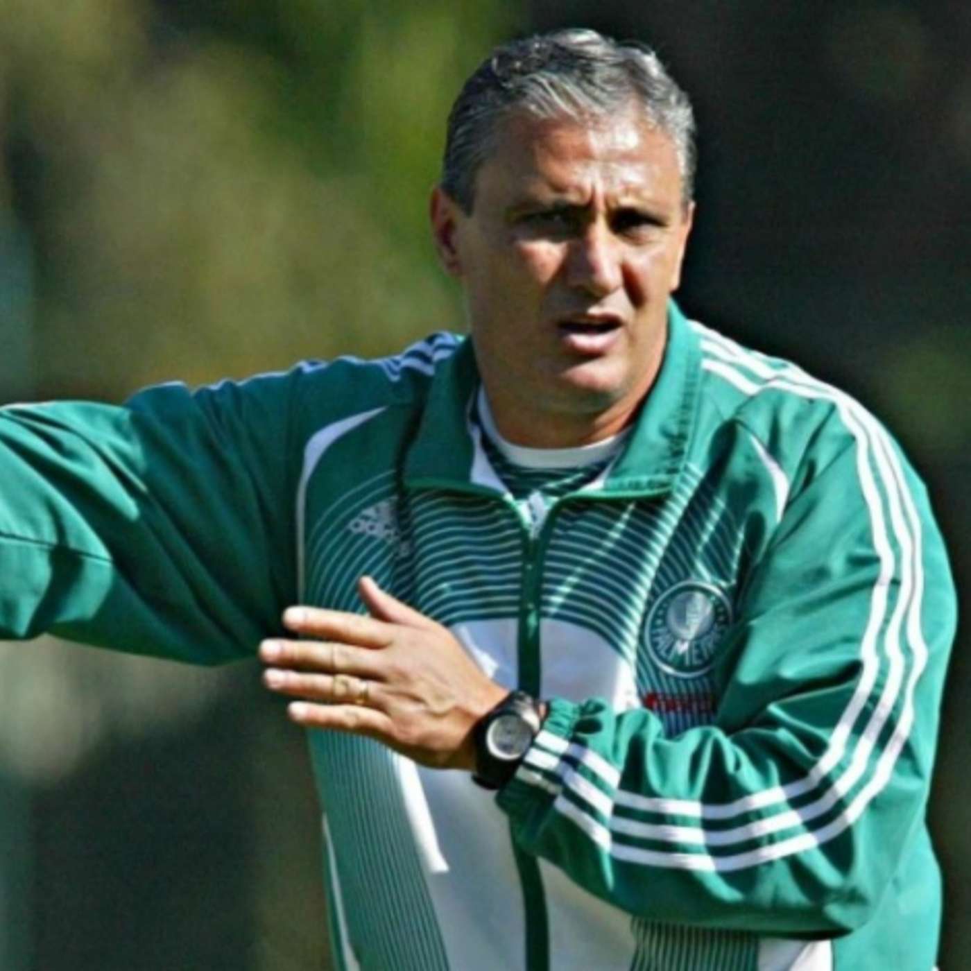 A passagem de Tite pelo Palmeiras e o que pensamos sobre o técnico da seleção #26 episode artwork