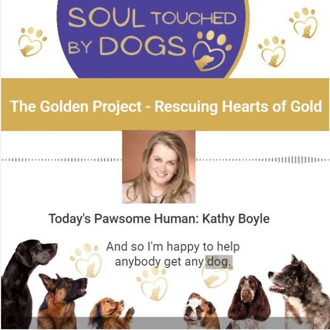 Kathy Boyle - The Golden Project - Rescuing Hearts of Gold
