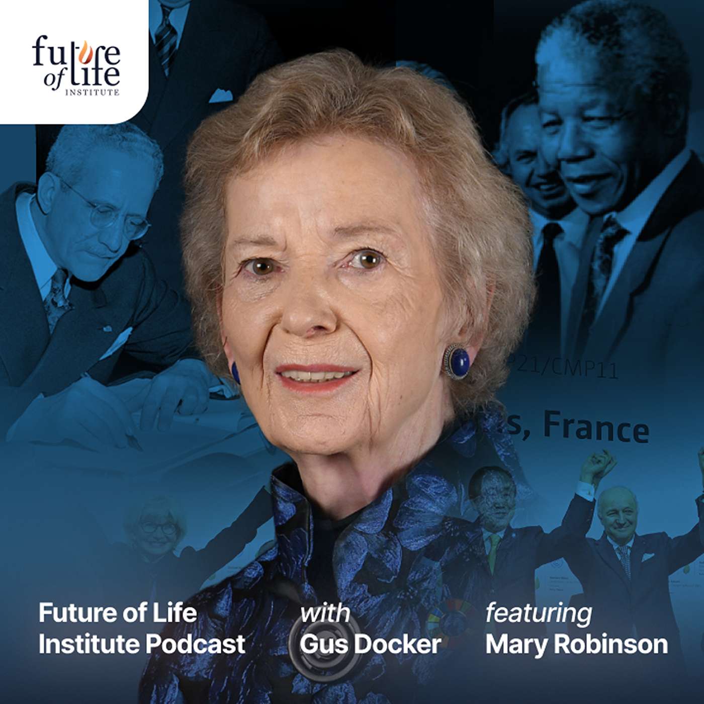 Future of Life Institute Podcast