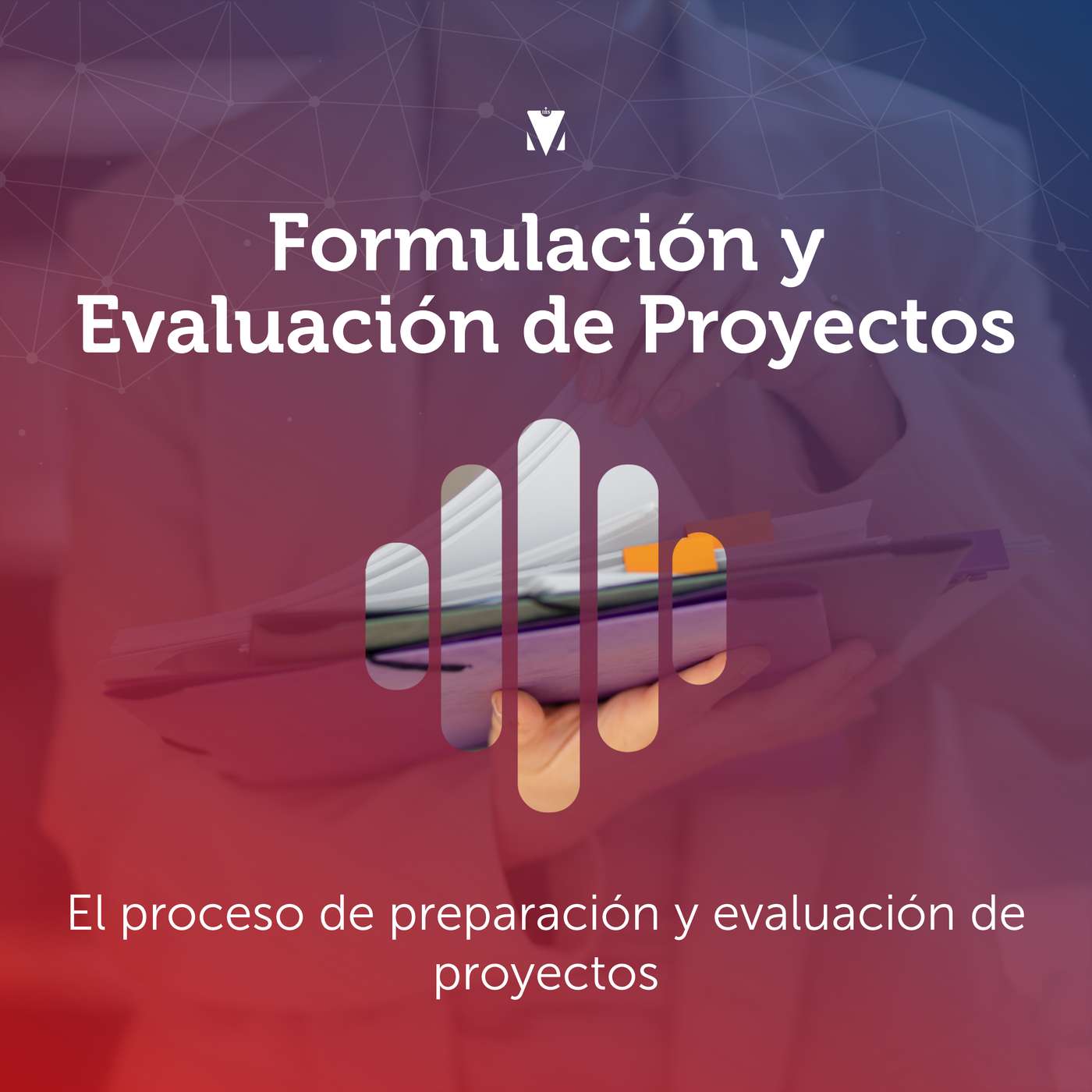 2 - FORMULACIÓN Y EVALUACIÓN DE PROYECTOS: El proceso de preparación y evaluación de proyectos