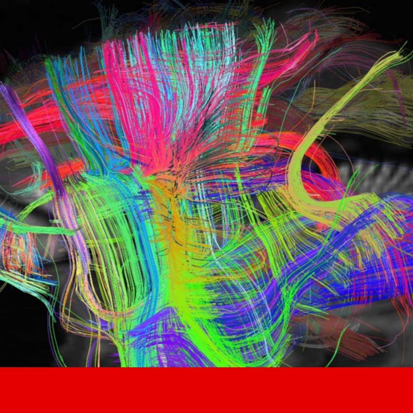 Researchers Win Nobel for MicroRNA, Comb Jellies Merge into One, OncoIndx Achieves 98% Sensitivity, OSIRIS-REx Unveils Bennu Secrets, and more...