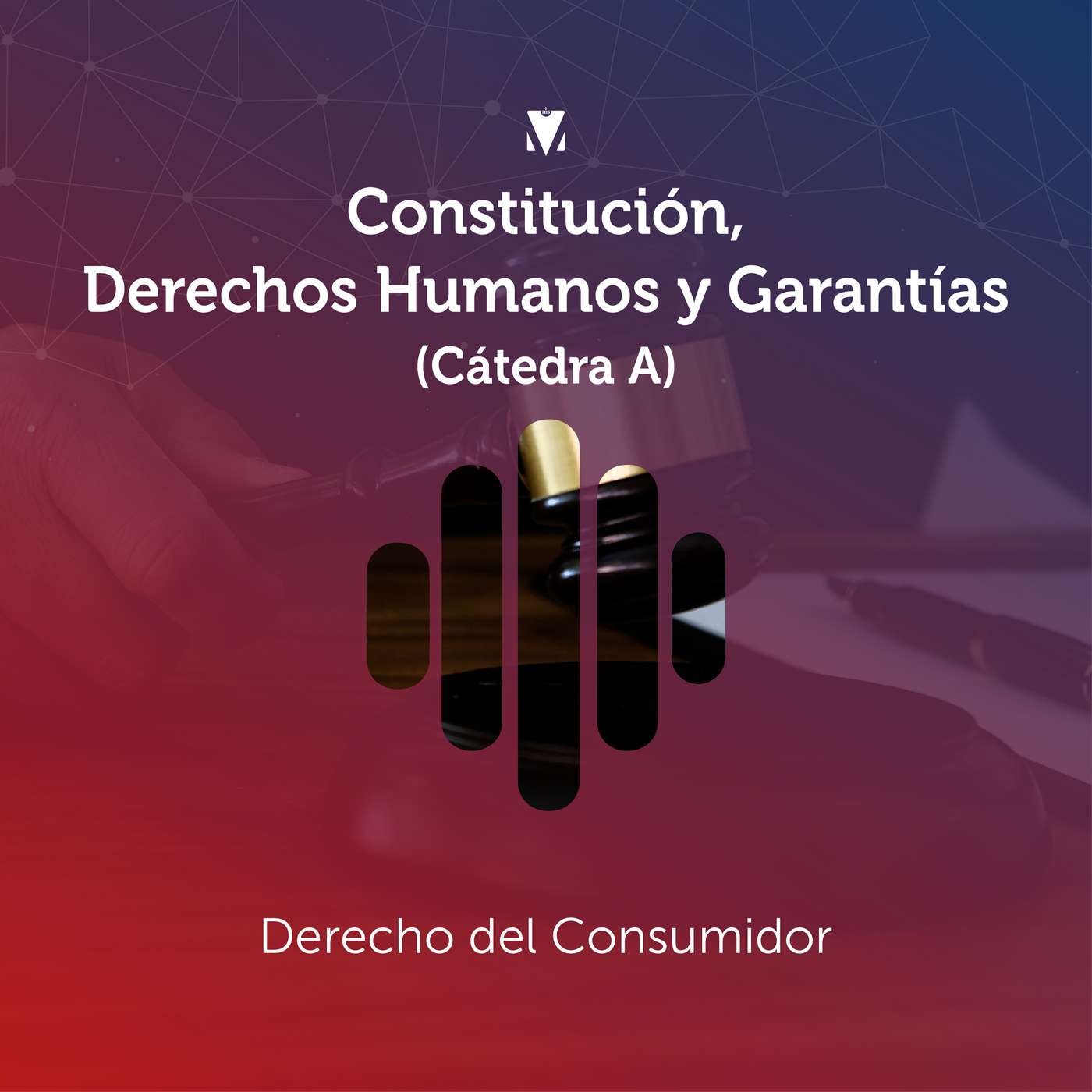 4 - CONSTITUCIÓN, DERECHOS HUMANOS Y GARANTÍAS (CÁTEDRA A): Derecho del Consumidor episode artwork