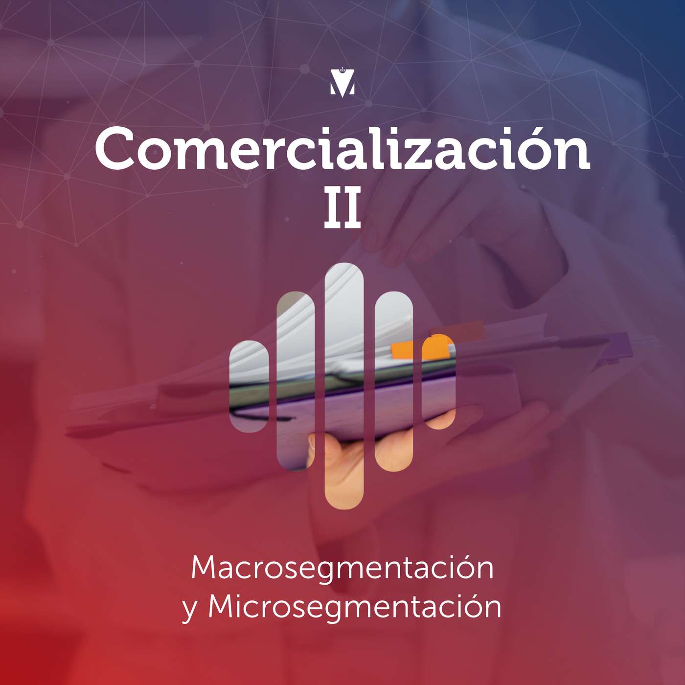 2 - COMERCIALIZACIÓN II: Macrosegmentación y Microsegmentación