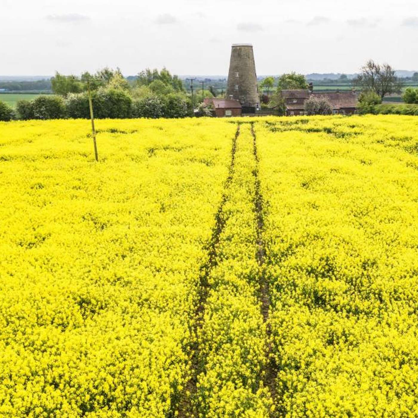 Revolutionary Protein from Waste, Moderna's Melanoma Breakthrough, Depression Subtypes Elevate Health Risks, Armored CAR-T Cells Show Promise, and more...