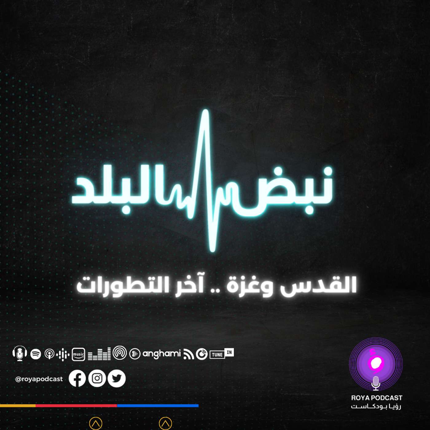 القدس وغزة .. آخر التطورات