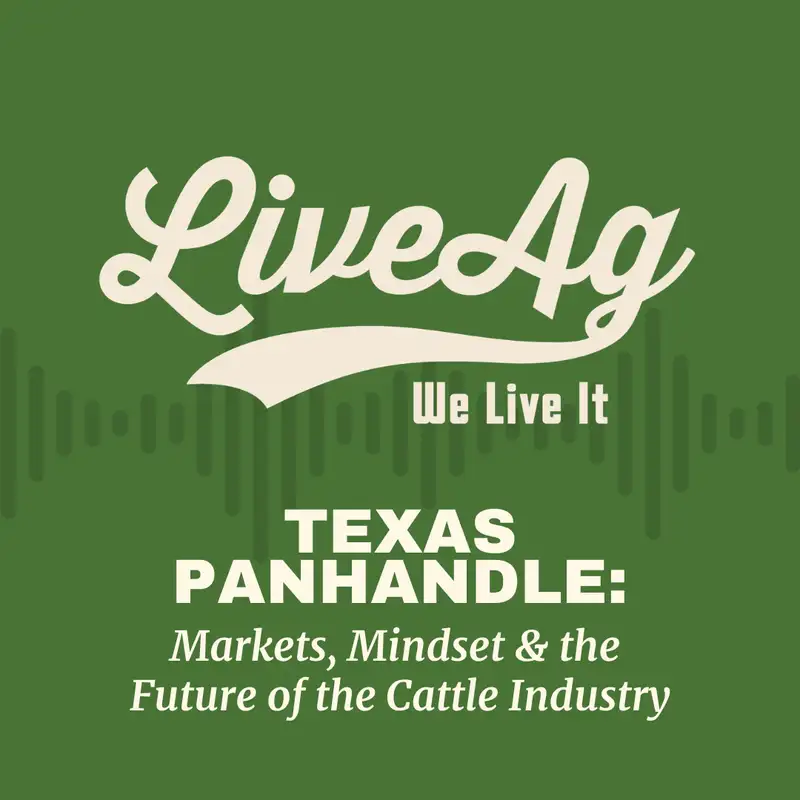 Texas Panhandle: Markets, Mindset & the Future of the Cattle Industry