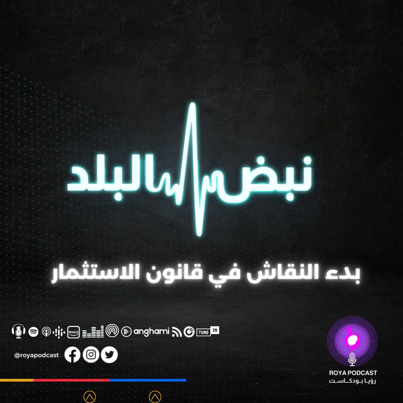 بدء النقاش في قانون الاستثمار