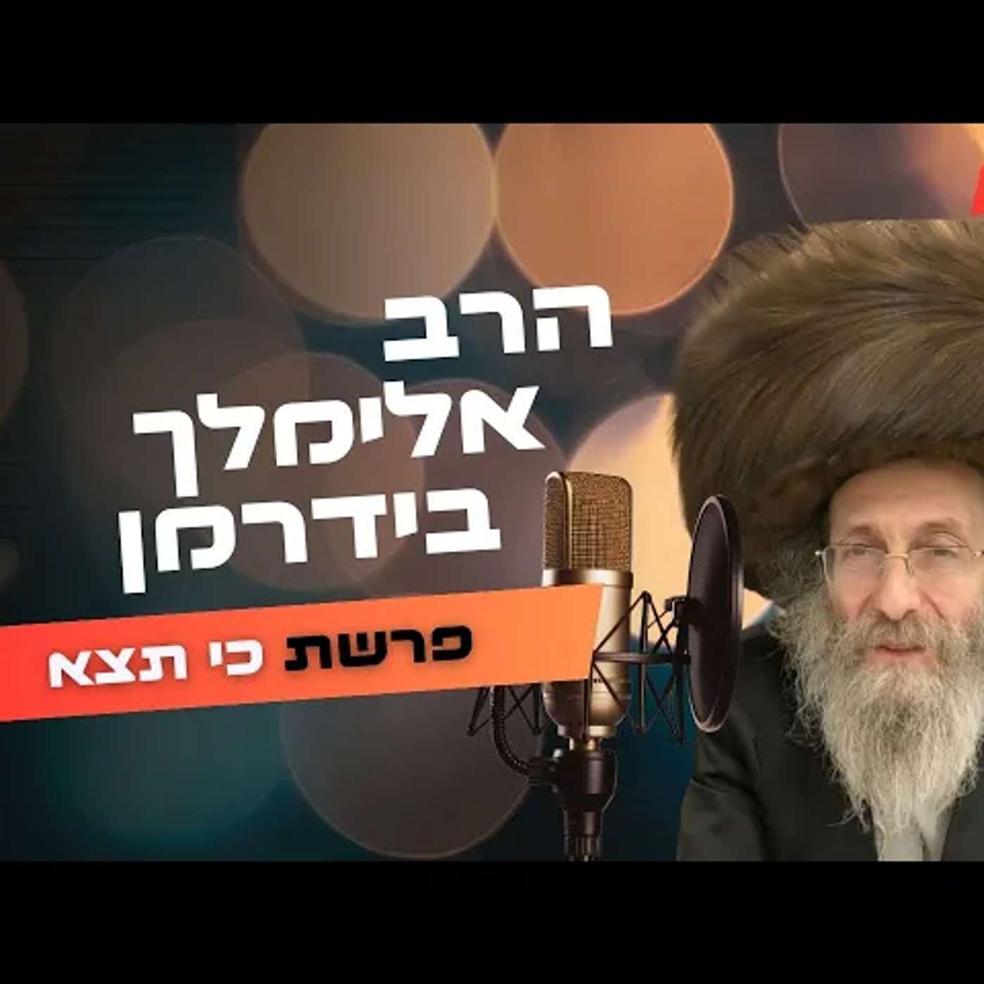 הרב אלימלך בידרמן • פרשת כי תצא תשפ''ה | עלונימייל