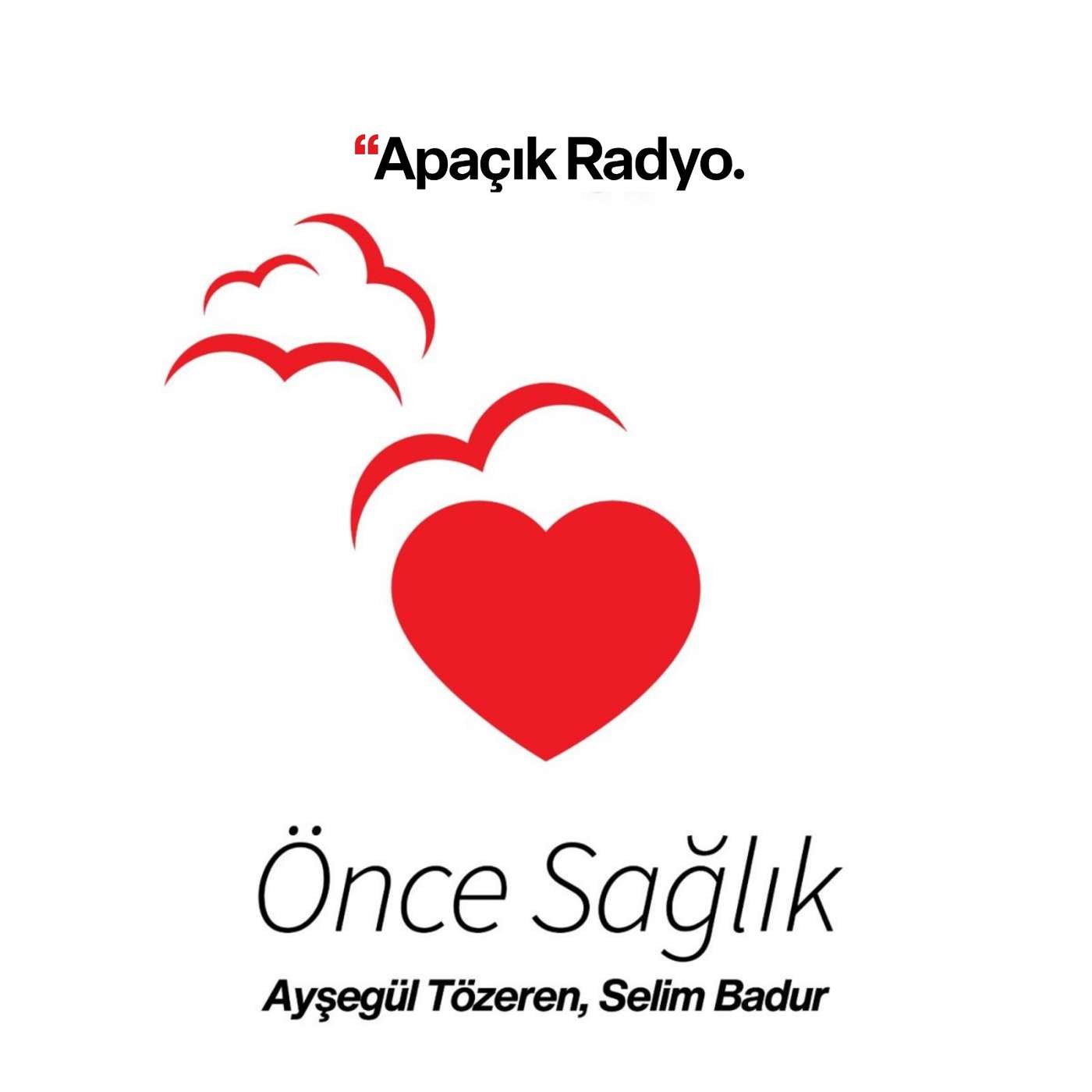 Esin Şenol'la enfeksiyon hastalıkları üzerine episode artwork