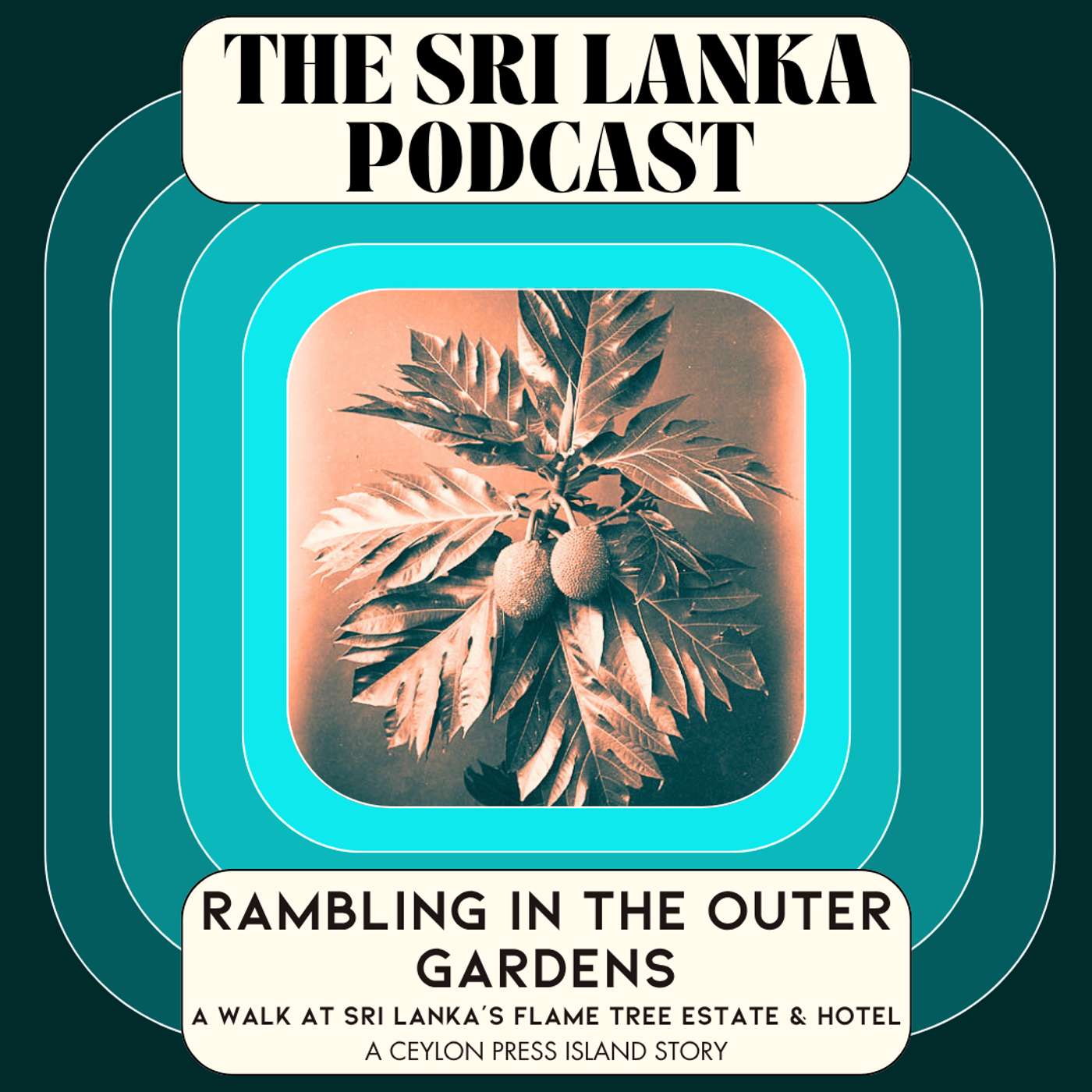 Rambling in the Outer Gardens: A Walk at Sri Lanka’s Flame Tree Estate & Hotel. A Ceylon Press Island Story episode artwork