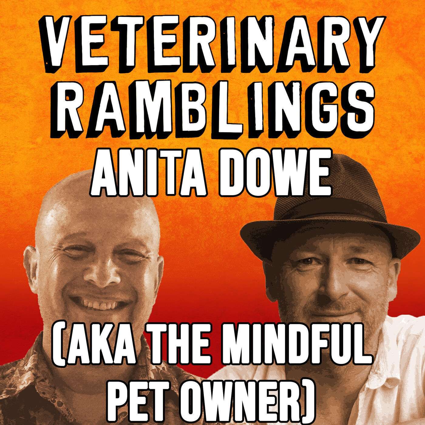 Ep 48: Teaching Old Dogs New Tricks With Anita Dowe (AKA The Mindful Pet Owner) episode artwork