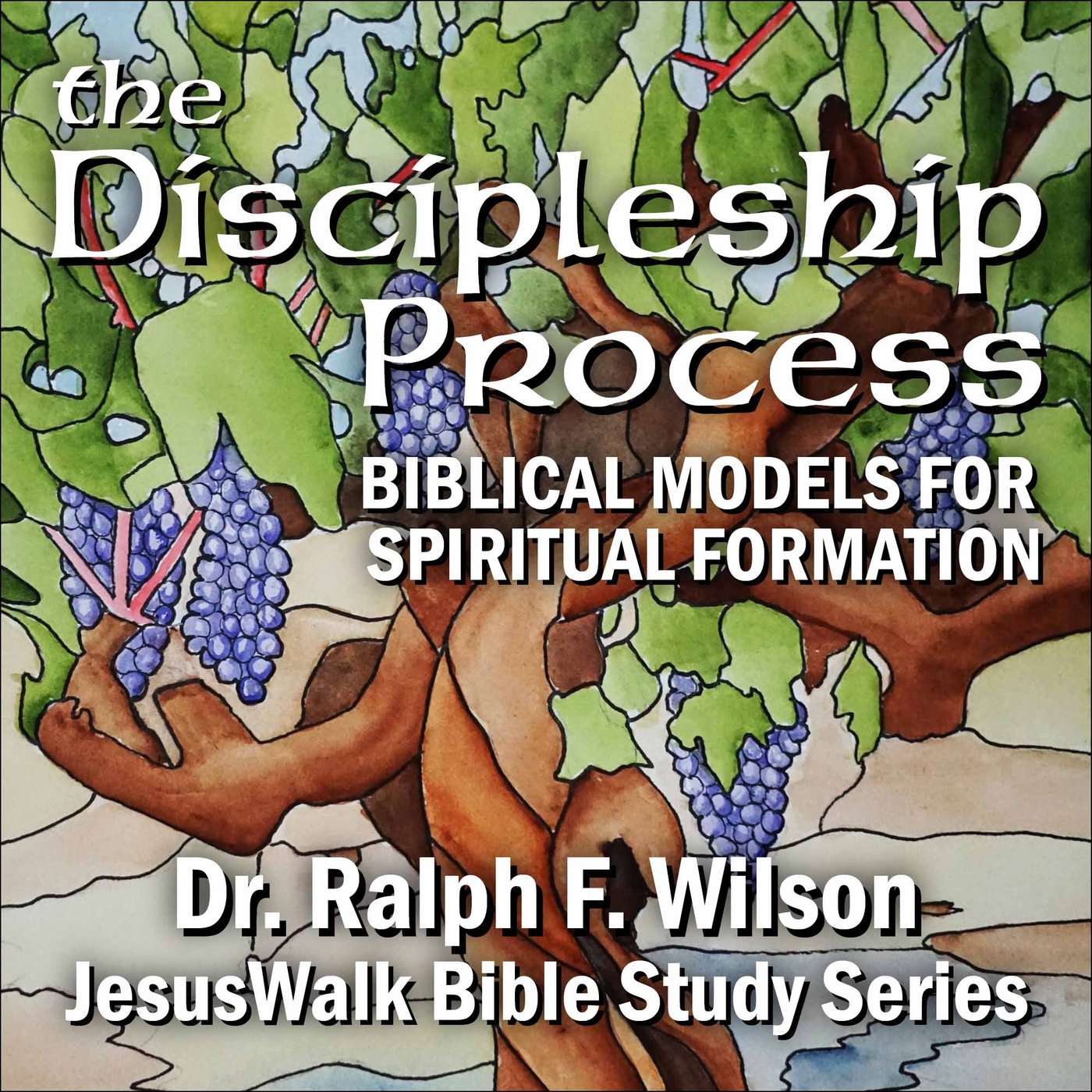 The Discipleship Process: Biblical Models for Spiritual Formation