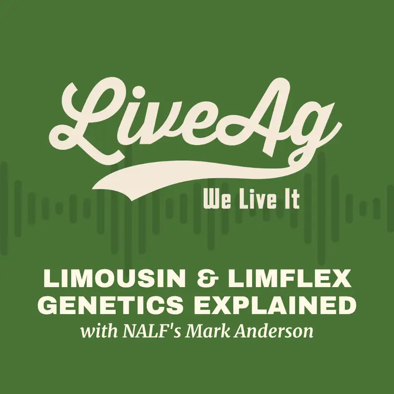 Limousin & LimFlex Genetics Explained with NALF's Mark Anderson