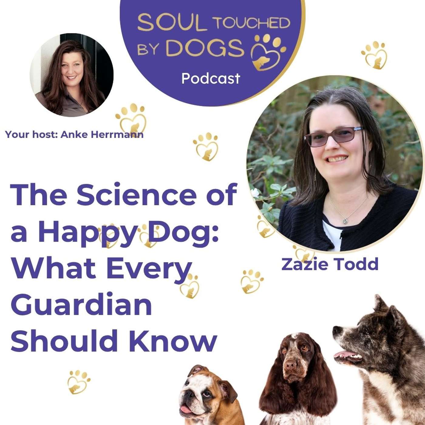 Zazie Todd - The Science of a Happy Dog: What Every Guardian Should Know