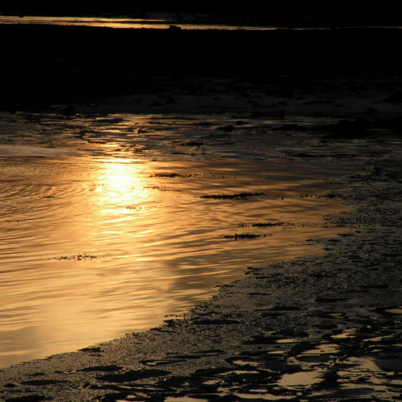 Karmels hage på St Rita Radio