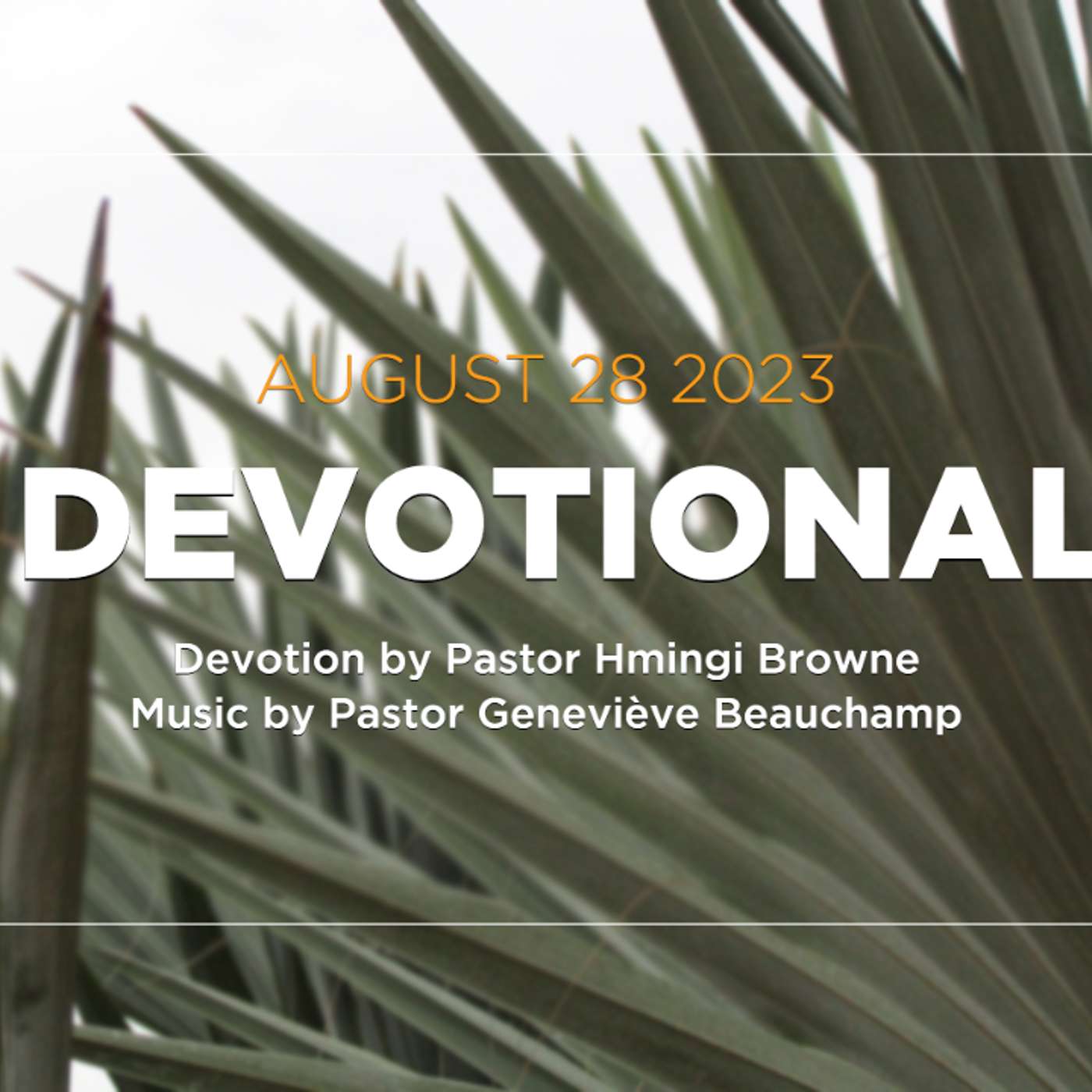 Devotion for August 28, 2023 with Pastor Hmingi Browne episode artwork