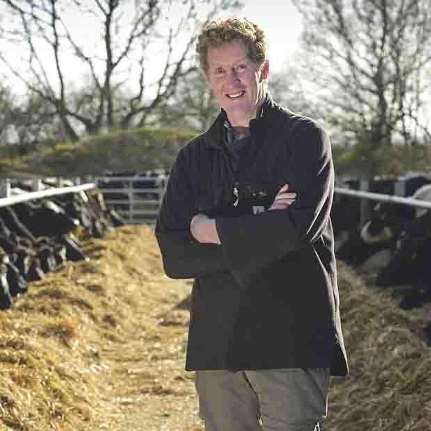 Milking 800 cows once a day in two herds