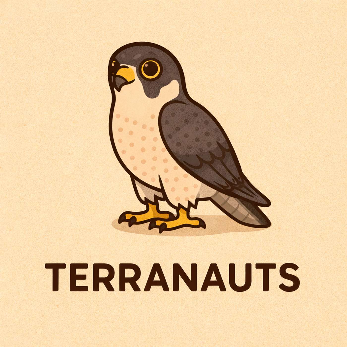 ¡Halcón peregrino!