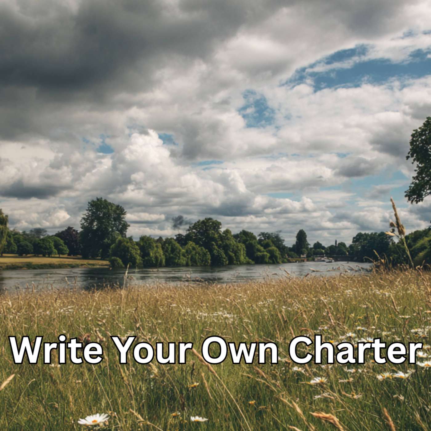 Day 337 - Write Your Own Charter episode artwork