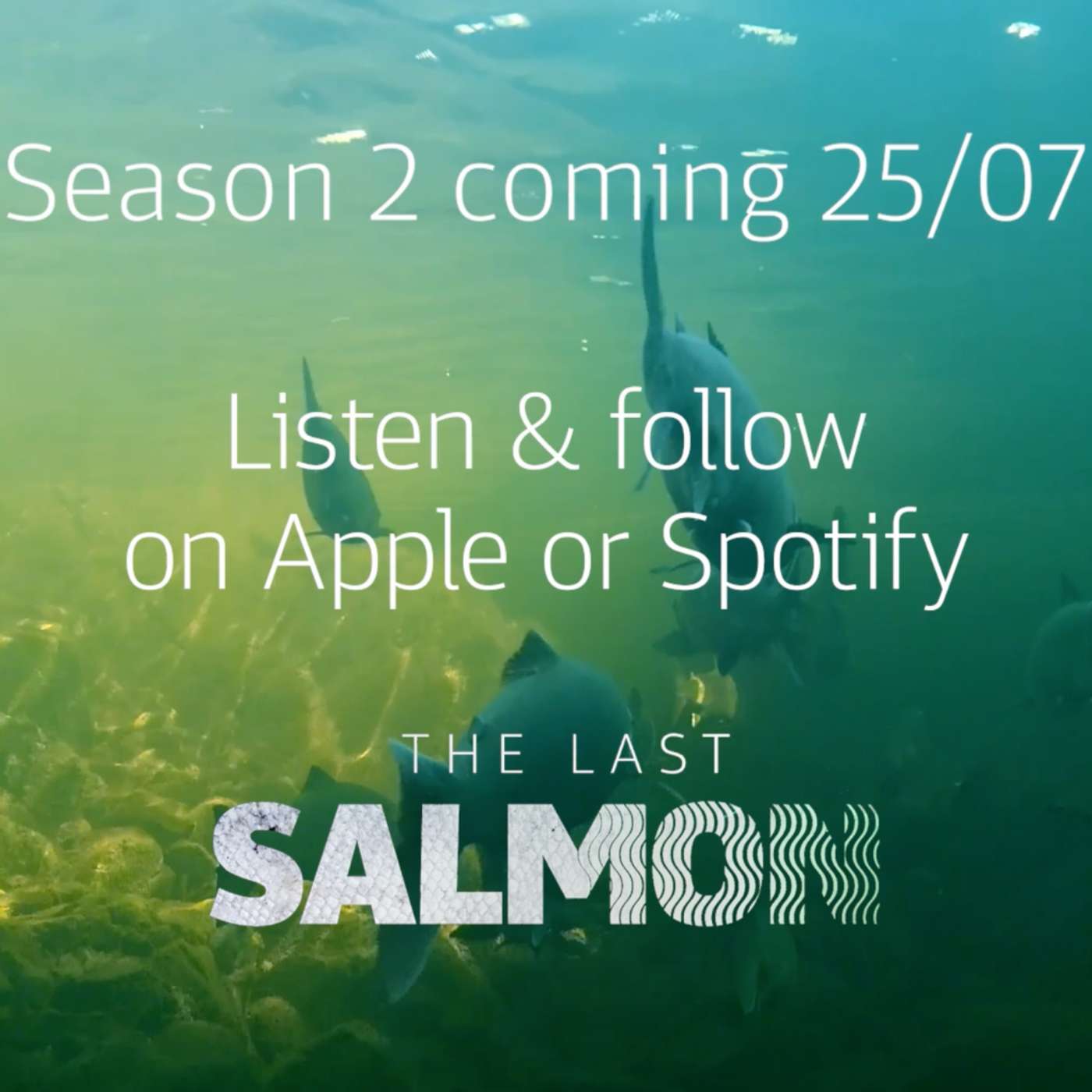 The Last Salmon: Season 2 Launching July 25th