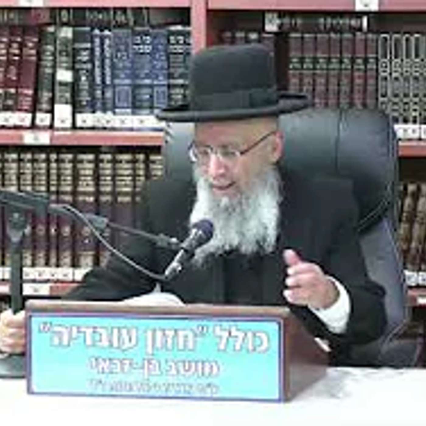 הרב גדעון בן משה :  תריג מצוות  .