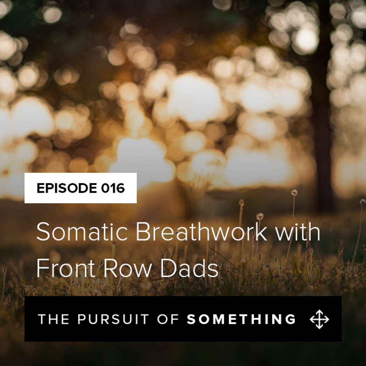 Somatic Breathwork with Front Row Dads episode artwork