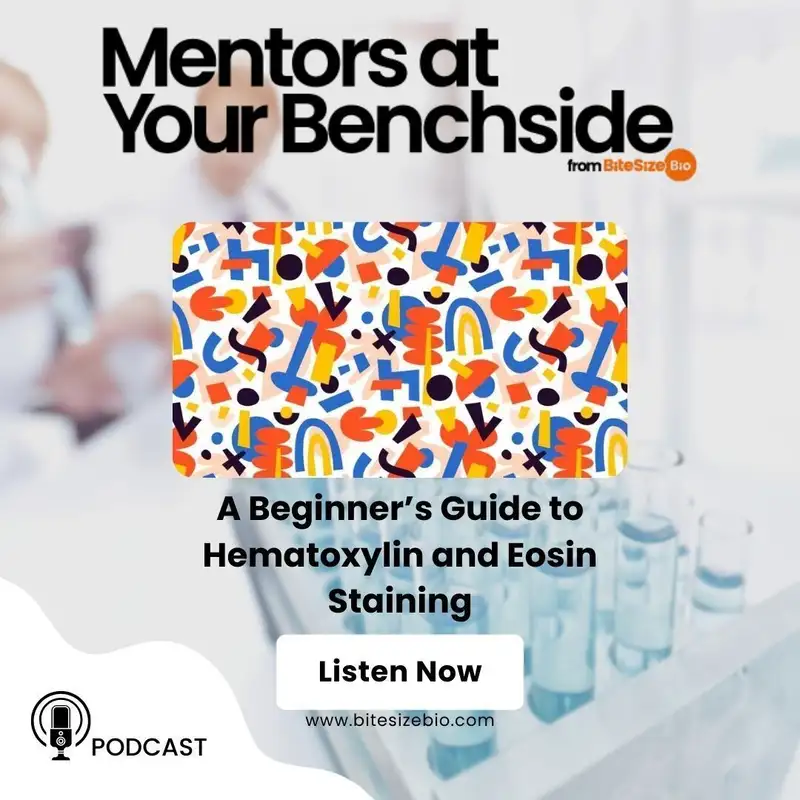 A Beginner’s Guide to Hematoxylin and Eosin Staining