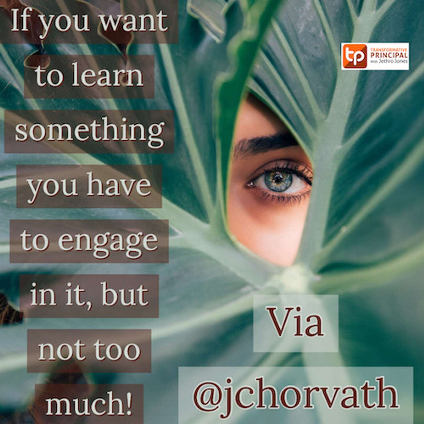 Transformative Principal