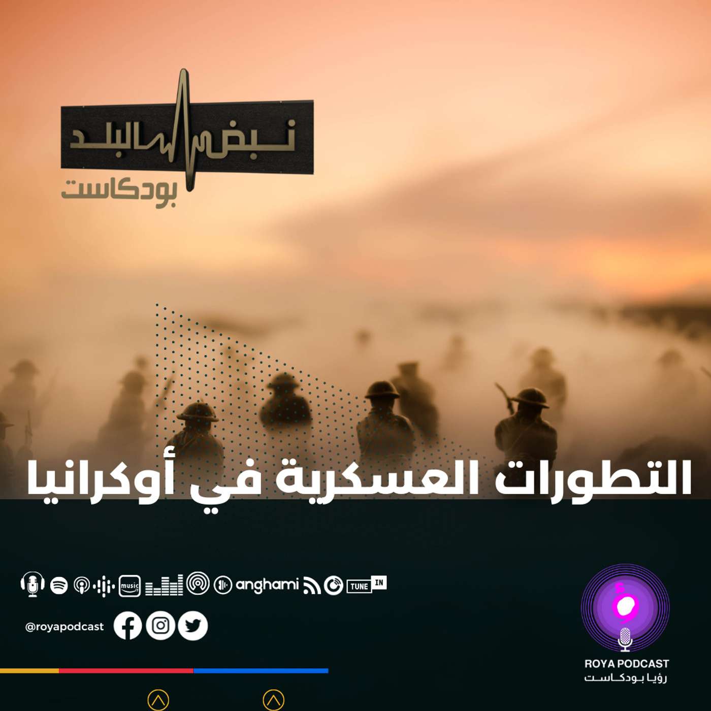 التطورات العسكرية في أوكرانيا