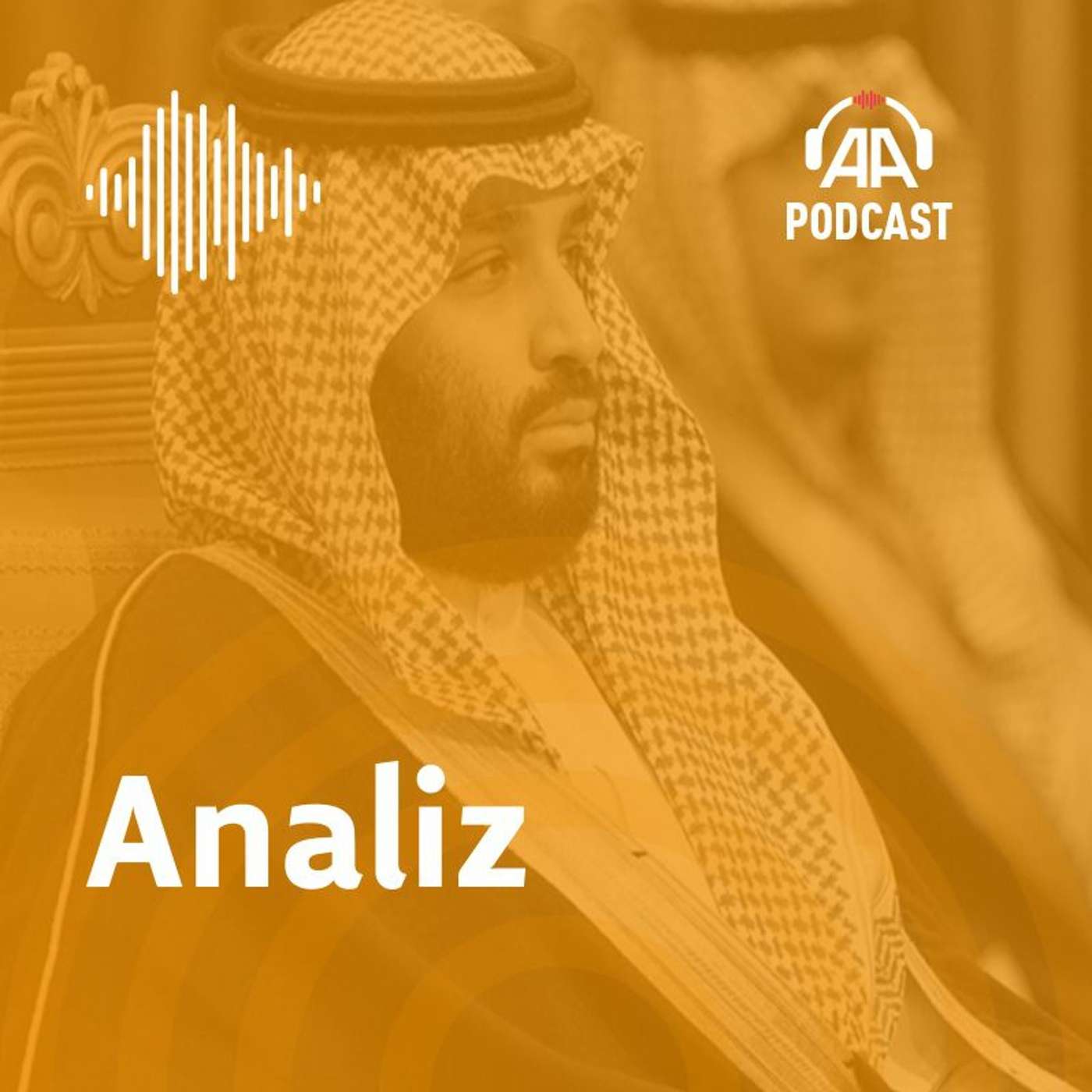 Analiz ve görüşler