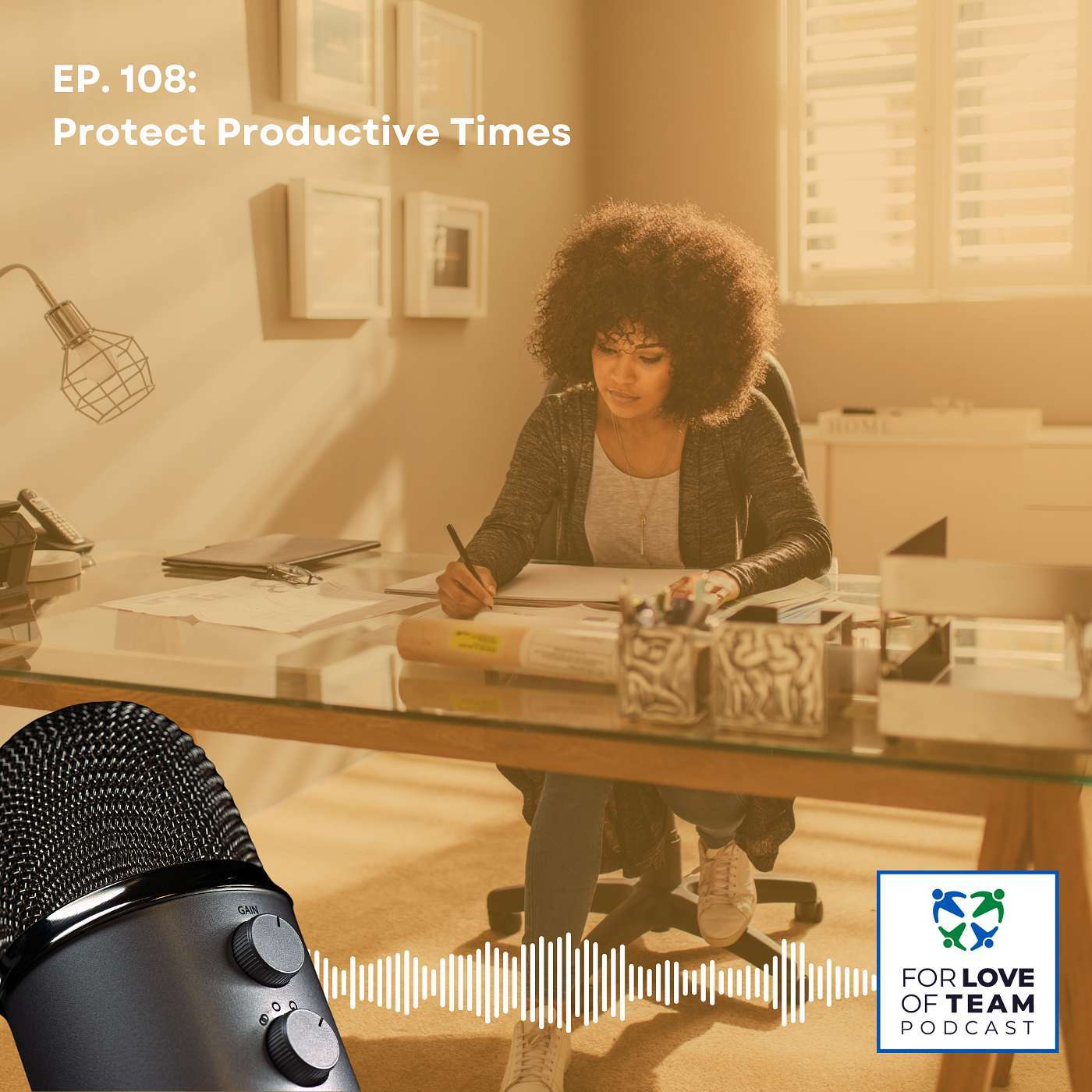 S1 E049: Protect Productive Times episode artwork