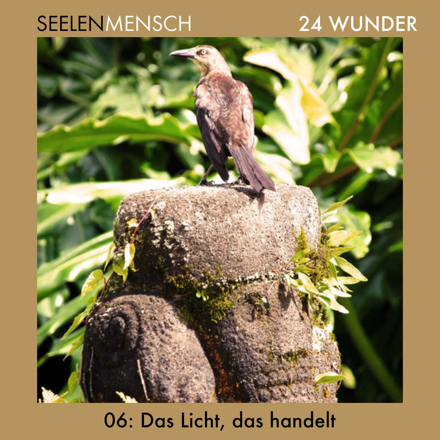#046 6. Dezember – Das Licht, das handelt #046 6. Dezember – Das Licht, das handelt